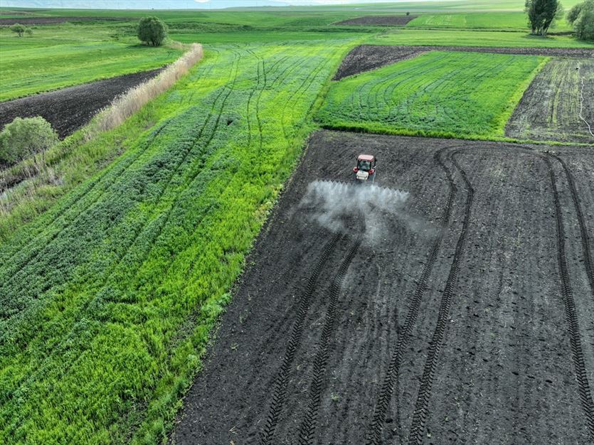 Pomoc dla okolicznych rolników i usługi sprzętem, Usługi Rolnicze Michał Bałdyga, Płock